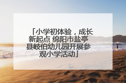 小学初体验，成长新起点 绵阳市盐亭县岐伯幼儿园开展参观小学活动