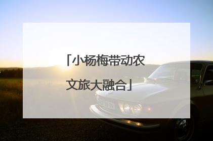 小杨梅带动农文旅大融合