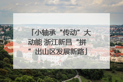 小轴承“传动”大动能 浙江新昌“拼”出山区发展新路
