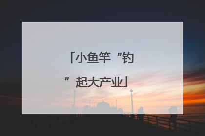 小鱼竿“钓”起大产业