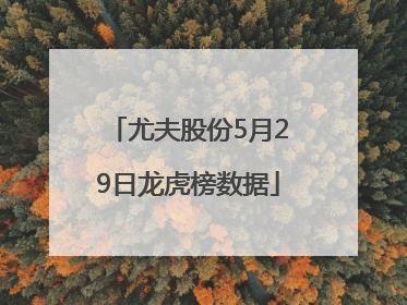 尤夫股份5月29日龙虎榜数据