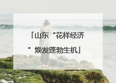 山东“花样经济”焕发蓬勃生机