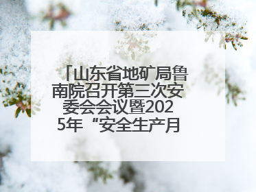 山东省地矿局鲁南院召开第三次安委会会议暨2025年“安全生产月”活动启动仪式