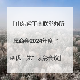 山东省工商联举办所属商会2024年度“两优一先”表彰会议