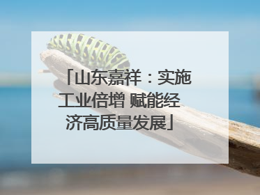 山东嘉祥：实施工业倍增 赋能经济高质量发展