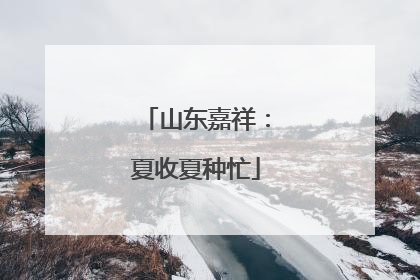 山东嘉祥：夏收夏种忙