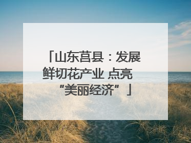 山东莒县：发展鲜切花产业 点亮“美丽经济”