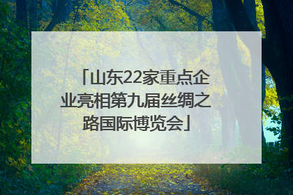 山东22家重点企业亮相第九届丝绸之路国际博览会