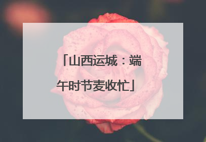山西运城：端午时节麦收忙