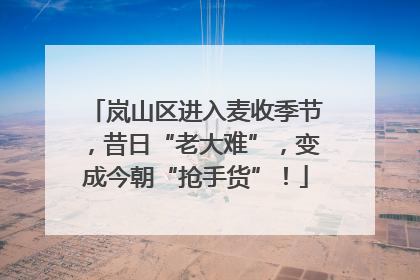 岚山区进入麦收季节，昔日“老大难”，变成今朝“抢手货”！