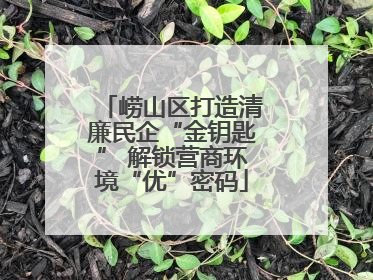 崂山区打造清廉民企“金钥匙” 解锁营商环境“优”密码