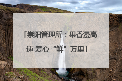 崇阳管理所：果香漫高速 爱心“鲜”万里