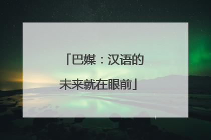 巴媒：汉语的未来就在眼前
