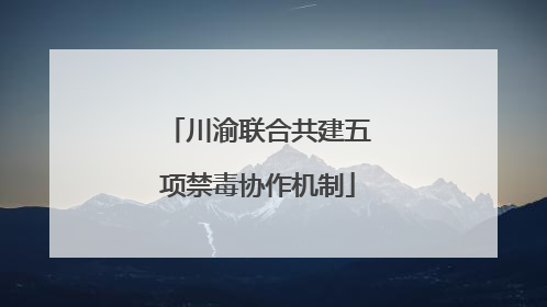 川渝联合共建五项禁毒协作机制