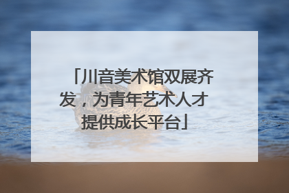 川音美术馆双展齐发，为青年艺术人才提供成长平台