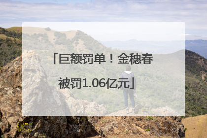 巨额罚单！金穗春被罚1.06亿元