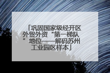巩固国家级经开区外贸外资“第一梯队”地位——解码苏州工业园区样本