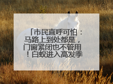 市民直呼可怕：马路上到处都是，门窗紧闭也不管用！白蚁进入高发季，但尚未达顶峰