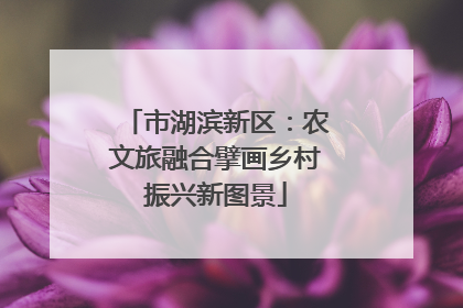 市湖滨新区：农文旅融合擘画乡村振兴新图景