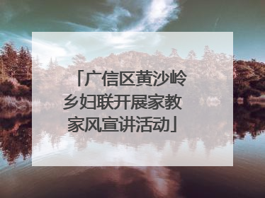 广信区黄沙岭乡妇联开展家教家风宣讲活动