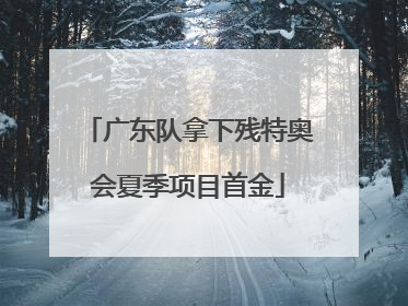 广东队拿下残特奥会夏季项目首金