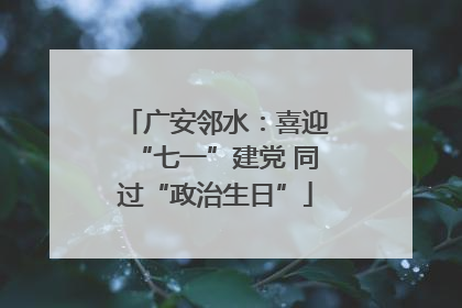 广安邻水：喜迎“七一”建党 同过“政治生日”