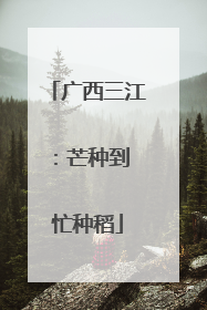 广西三江：芒种到 忙种稻
