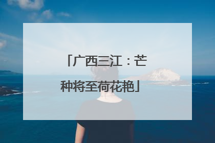 广西三江：芒种将至荷花艳