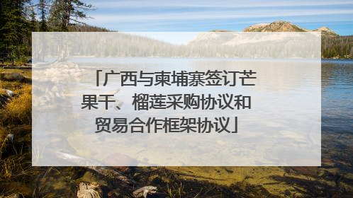 广西与柬埔寨签订芒果干、榴莲采购协议和贸易合作框架协议