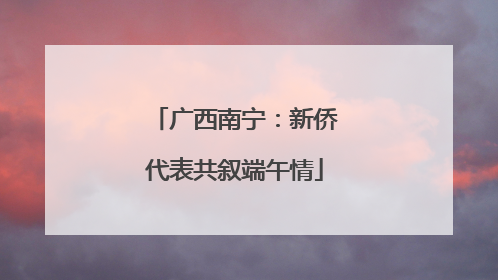广西南宁：新侨代表共叙端午情