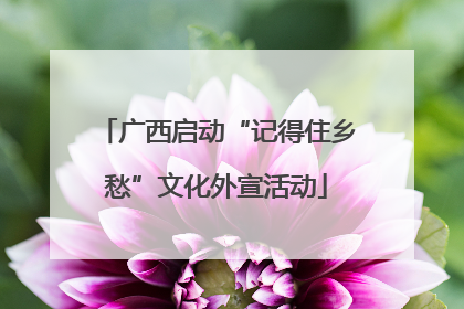 广西启动“记得住乡愁”文化外宣活动