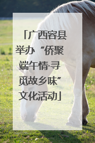 广西容县举办“侨聚端午情·寻觅故乡味”文化活动