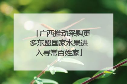 广西推动采购更多东盟国家水果进入寻常百姓家