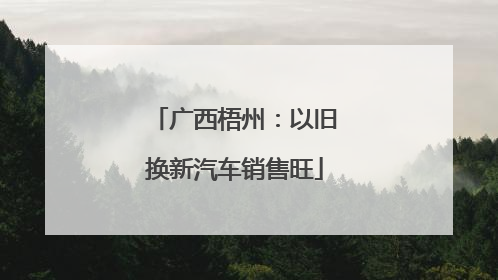 广西梧州：以旧换新汽车销售旺