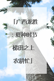 广西龙胜：夏种时节 梯田之上农耕忙