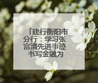建行衡阳市分行：学习张富清先进事迹 书写金融为民美好篇章