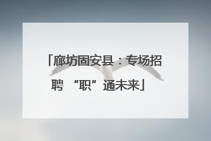廊坊固安县：专场招聘 “职”通未来