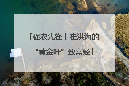 强农先锋丨崔洪海的“黄金叶”致富经