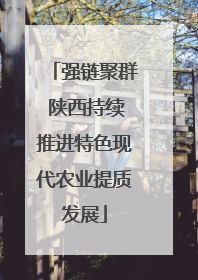 强链聚群 陕西持续推进特色现代农业提质发展