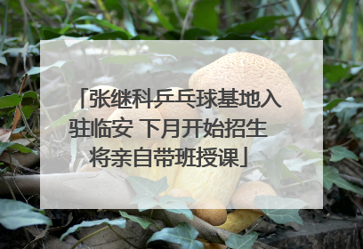 张继科乒乓球基地入驻临安 下月开始招生将亲自带班授课