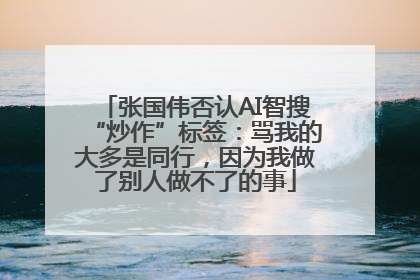 张国伟否认AI智搜“炒作”标签：骂我的大多是同行，因为我做了别人做不了的事