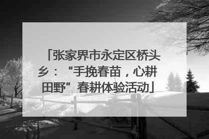张家界市永定区桥头乡：“手挽春苗，心耕田野”春耕体验活动