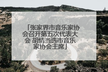张家界市音乐家协会召开第五次代表大会 胡情当选市音乐家协会主席