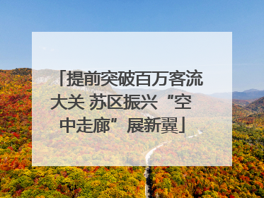 提前突破百万客流大关 苏区振兴“空中走廊”展新翼