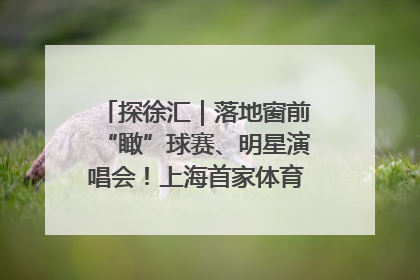 探徐汇｜落地窗前“瞰”球赛、明星演唱会！上海首家体育特色高端酒店亮相
