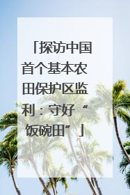 探访中国首个基本农田保护区监利：守好“饭碗田”