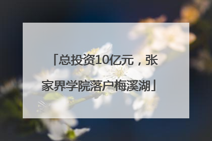 总投资10亿元，张家界学院落户梅溪湖
