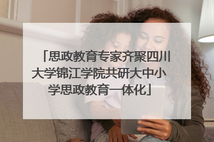 思政教育专家齐聚四川大学锦江学院共研大中小学思政教育一体化