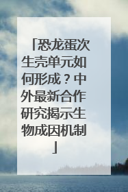 恐龙蛋次生壳单元如何形成？中外最新合作研究揭示生物成因机制
