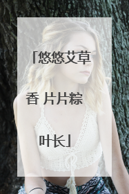 悠悠艾草香 片片粽叶长